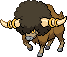 Bouffalant