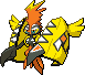 Tapu Koko